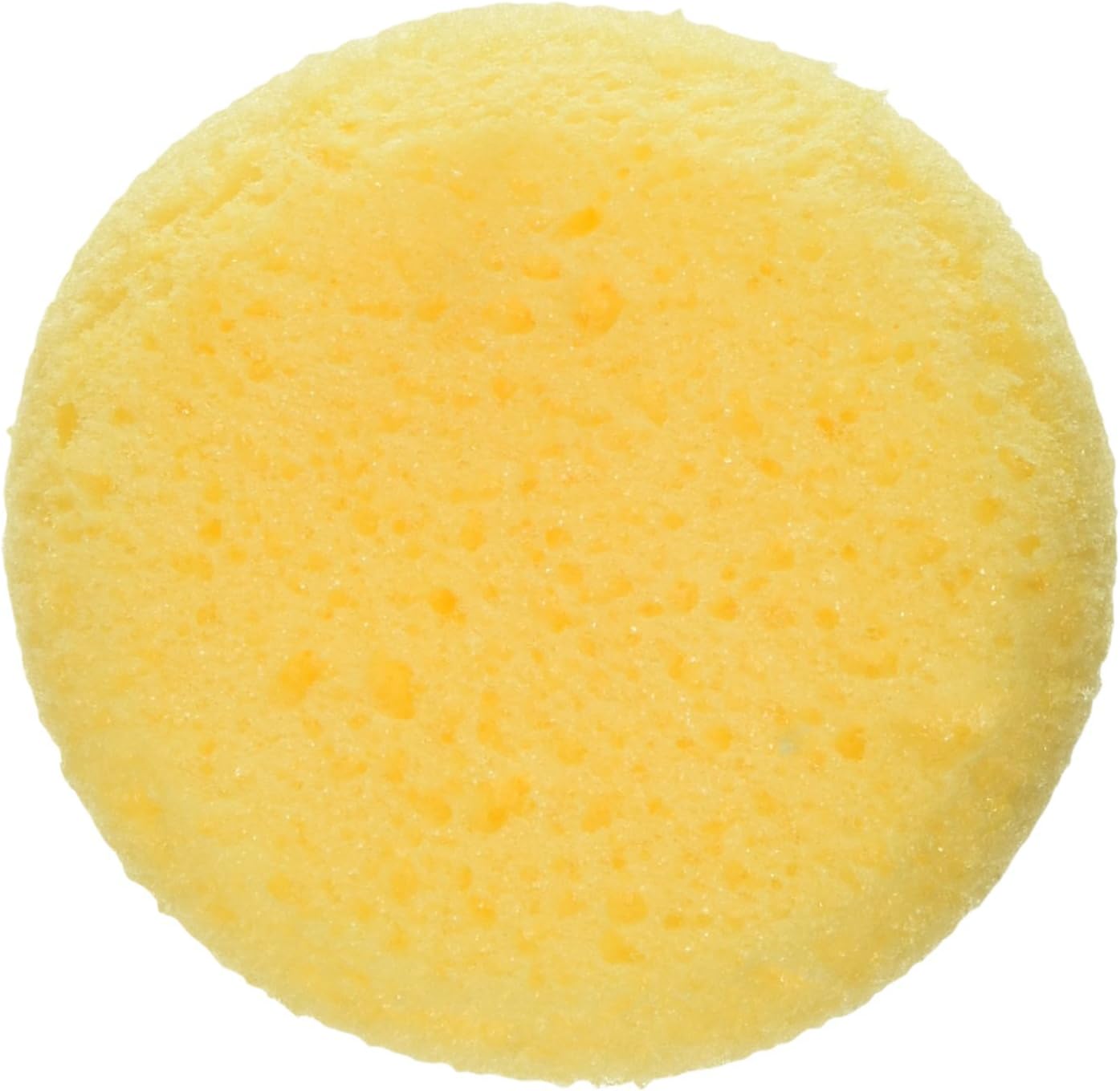 Loftus International Make-Up Sponge