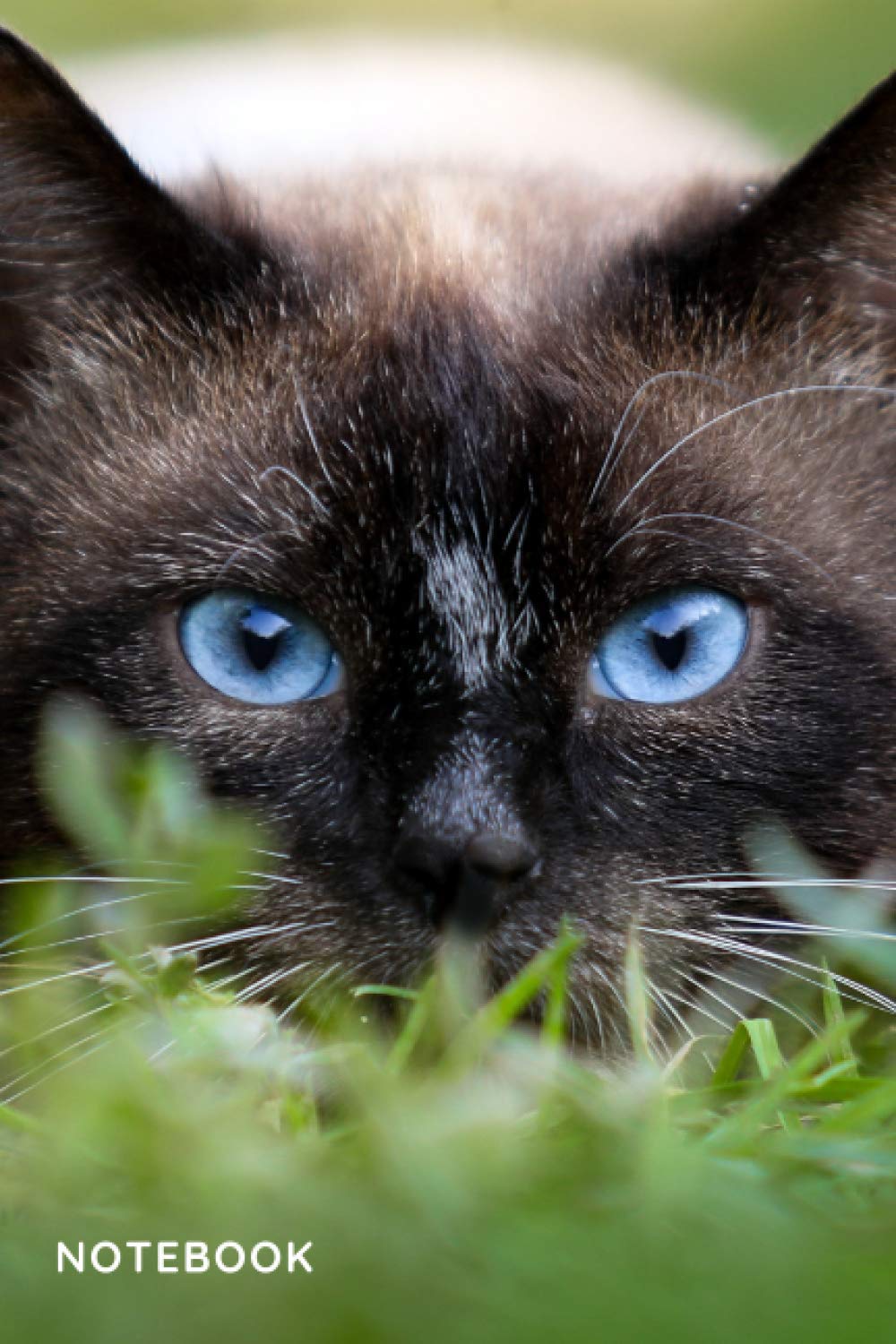Siamese Notebook: blank lined composition journal | Siamese cat | 100 pages