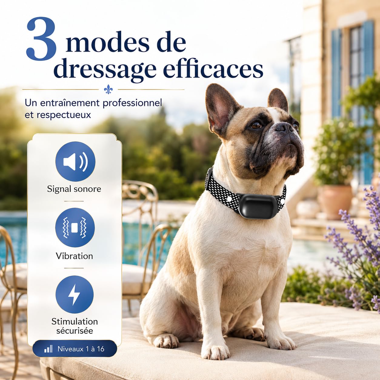 Collier Dressage Electrique Chien Portée 1200m, Collier Anti-Aboiement | 1-16 Niveaux Entraînement, Étanche Rechargeable, 3 Modes de Dressage BIP Vibration Choc, Adapté à Tous Les Chiens