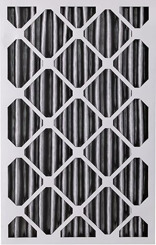 Miniatura 10 de Nordic Pure 16x25x4 (3-58 profundidad real) MERV 10 Plisado