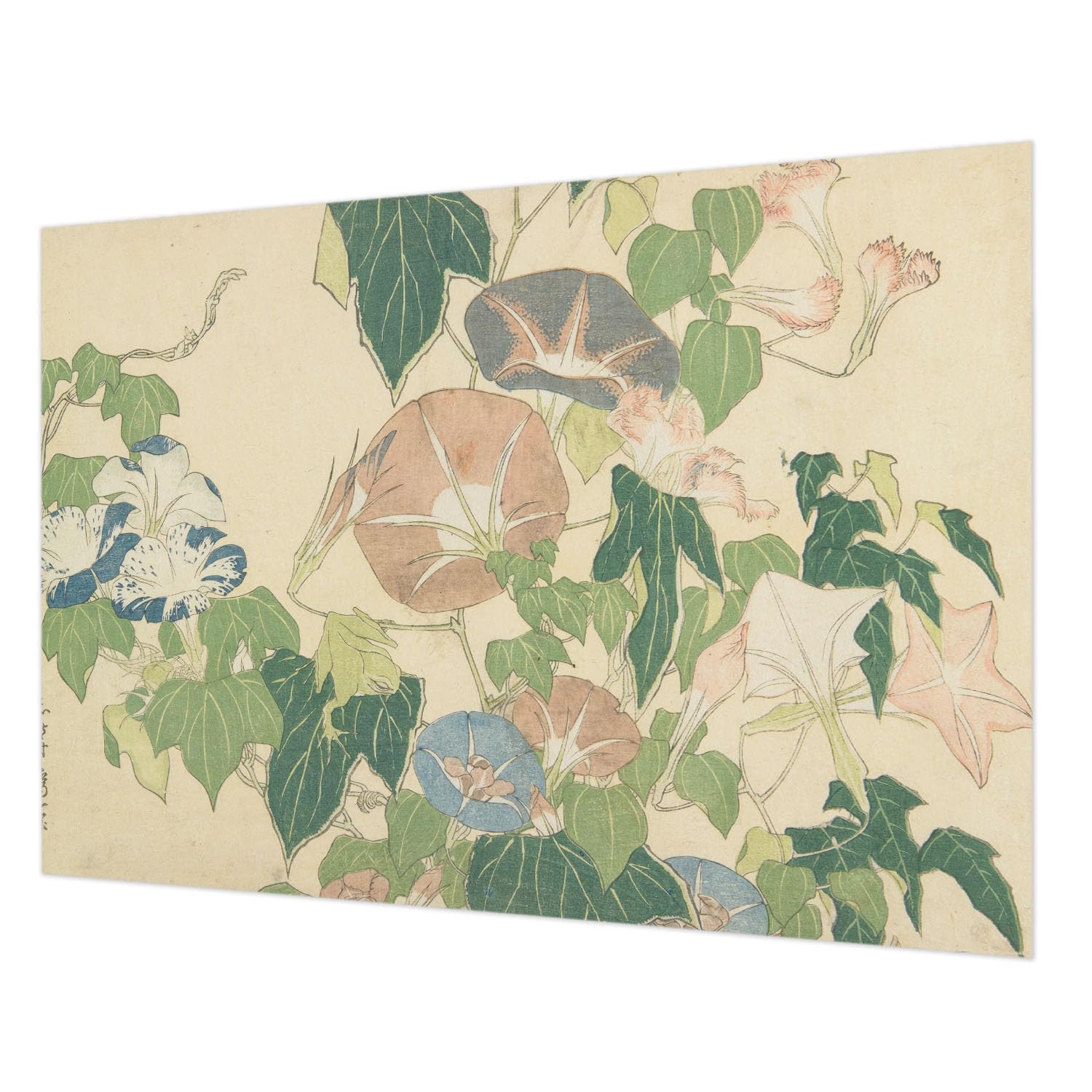 Papier peint intissé pour chambre et salon motif élégance florale grand format 208x146