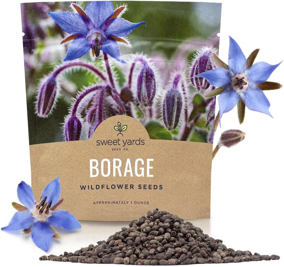 Borage Seeds – Extra Large Packet – Over 1,200 Open Pollinated Non-GMO Wildflower Seeds – Borago officianalis