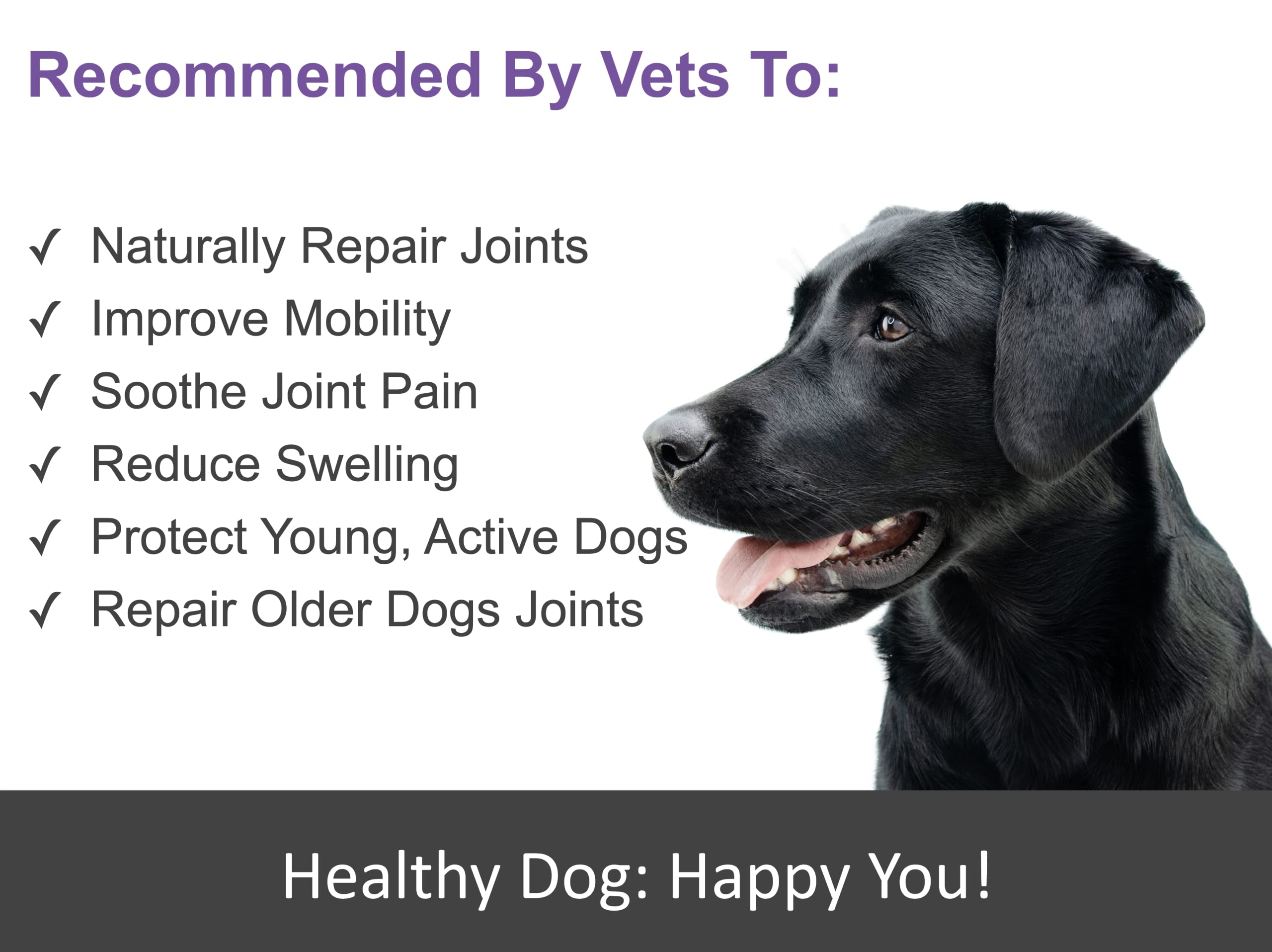 How Do You Reduce Swelling In A Dogs Joints