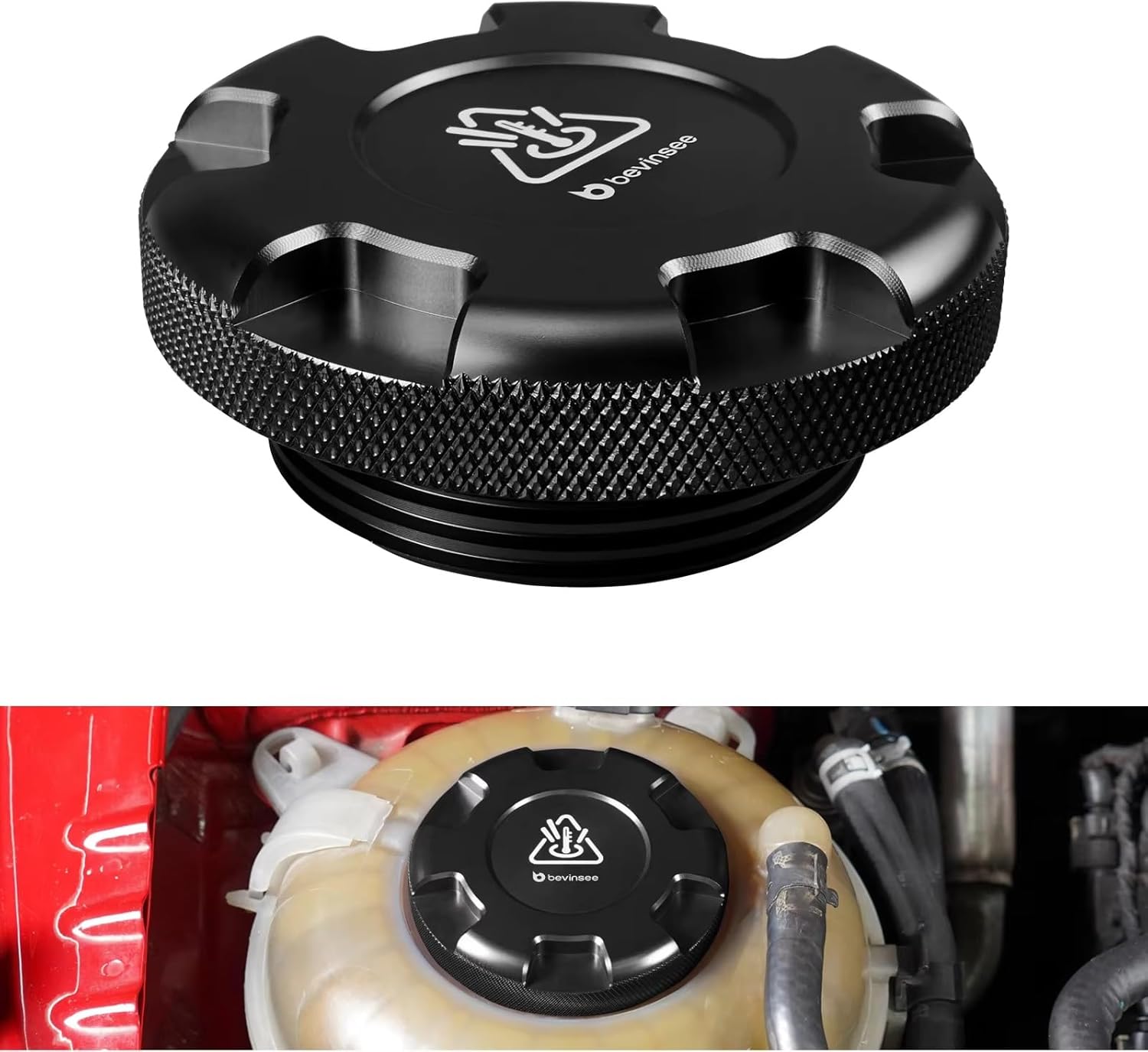 ☆希少☆ いのちのうたたち　塚本正治 CD ☆希少☆ いのちのうたたち 塚本正治 CD イベント情報 ☆希少☆ いのち