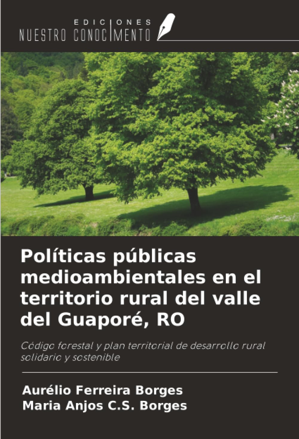 Políticas públicas medioambientales en el territorio rural del valle del Guaporé, RO: Código forestal y plan territorial de desarrollo rural solidario y sostenible