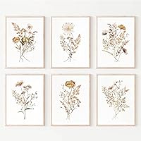 Joocrise Watercolor Flower Wall Art Set of 6 - Boho Botanical Wildflower Canvas Prints 8x10 Unframed Minimalist Farmhouse Decor