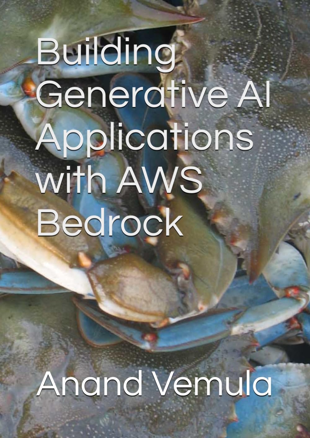 Building Generative AI Applications with AWS Bedrock