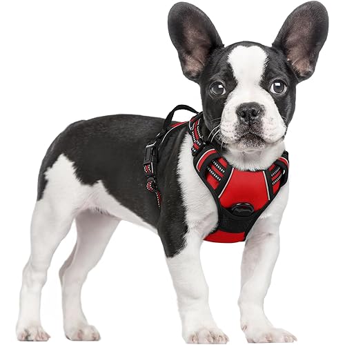 rabbitgoo Dog Harness No Pull with 2 Leash Clips, Adjustable Soft Padded, Reflective Oxford No Choke Pet Vest with Easy Control Handle for Small Dogs, Red, S
