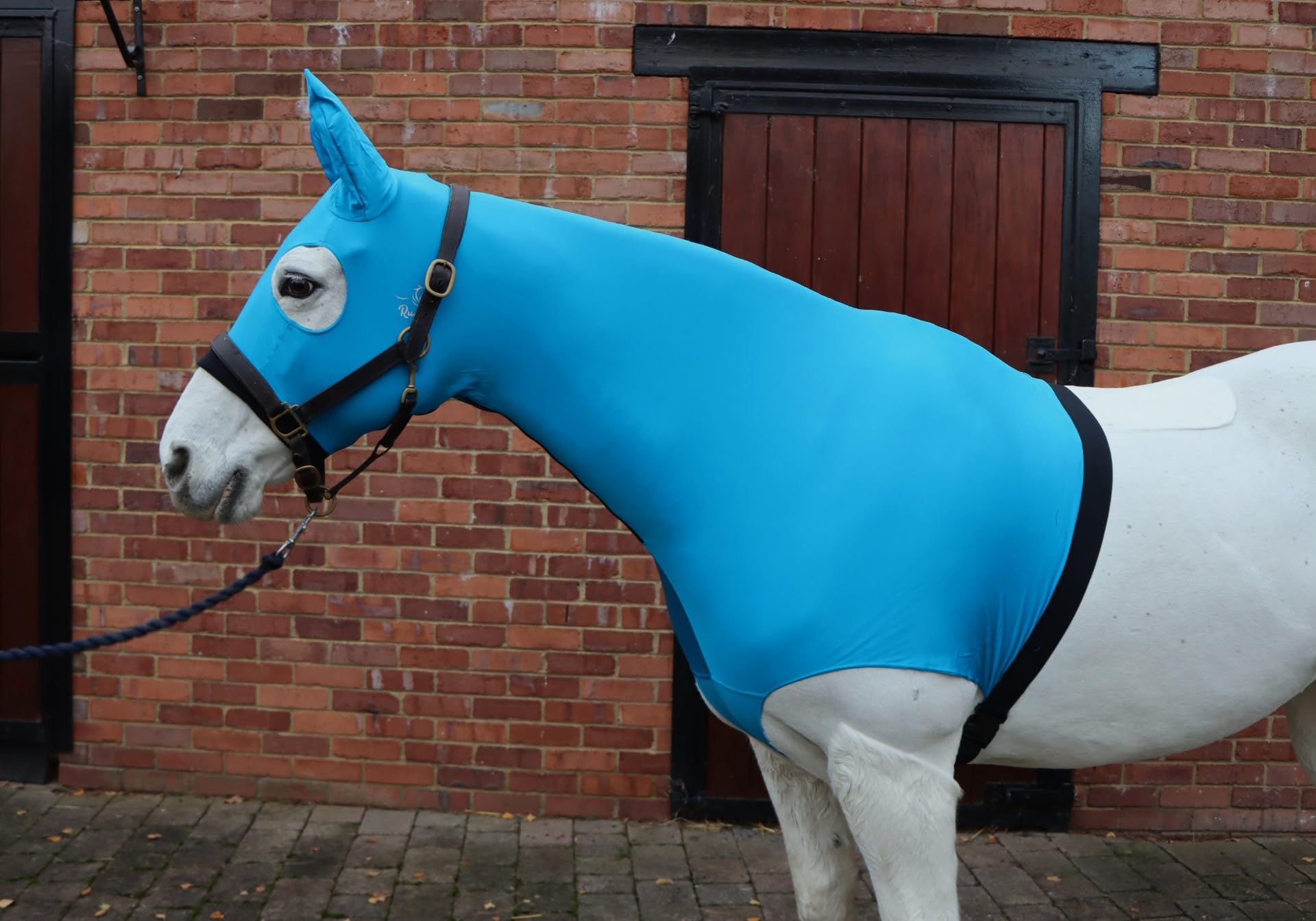 Ruggles Lycra Hood With Heat Sealed Seams for Horse/Pony, Aqua, Small With Ears