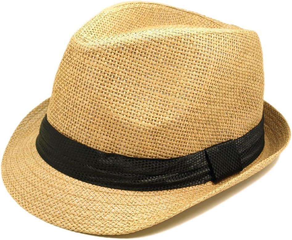 TrendsBlue unisex-adult mens Fedoras