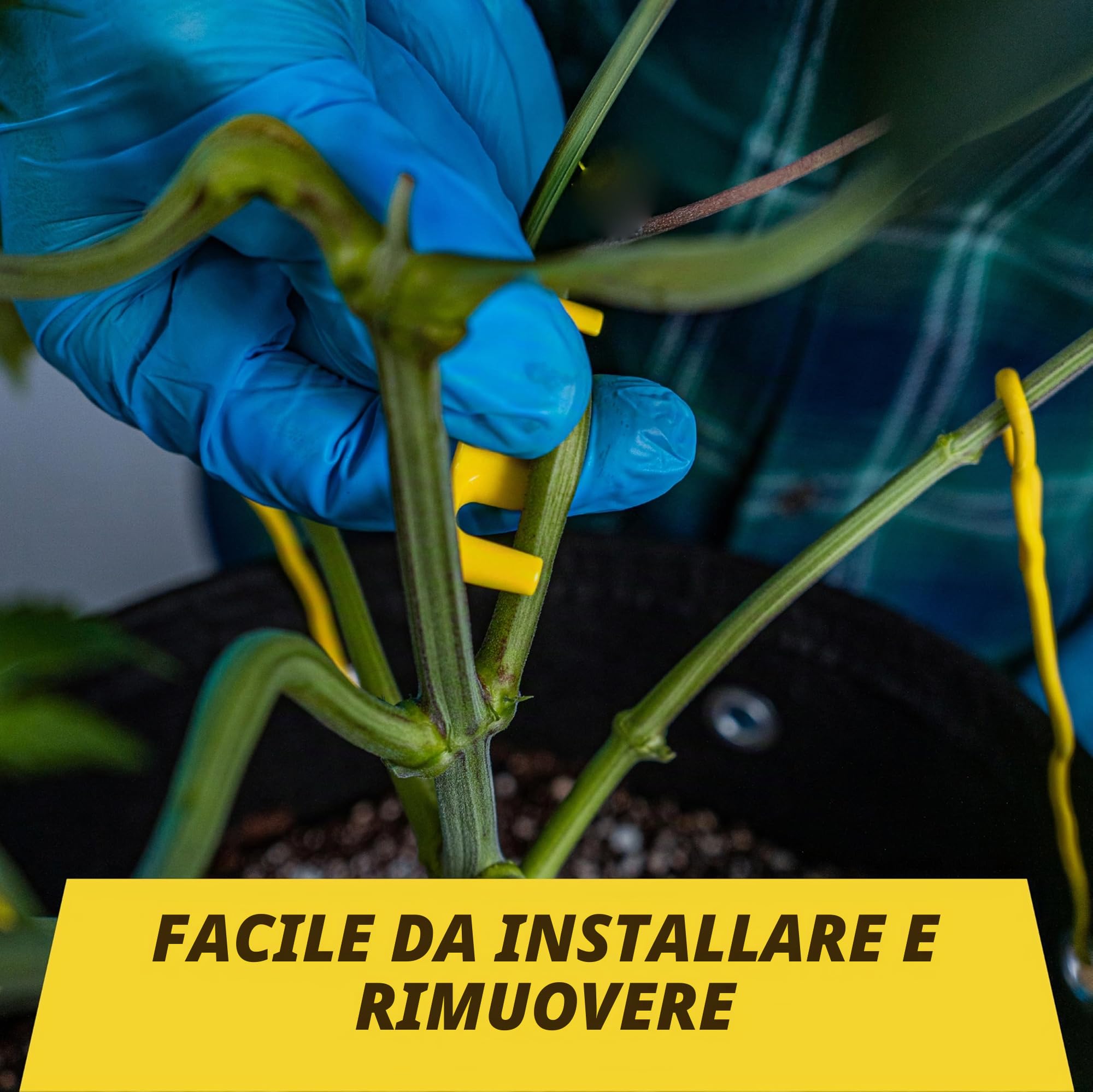 BudClips - Confezione da 20 clip LST per allenamento a basso stress, misura universale, adatte a qualsiasi ramo, realizzate in plastica riciclata al 100%, design ergonomico, non danneggiano