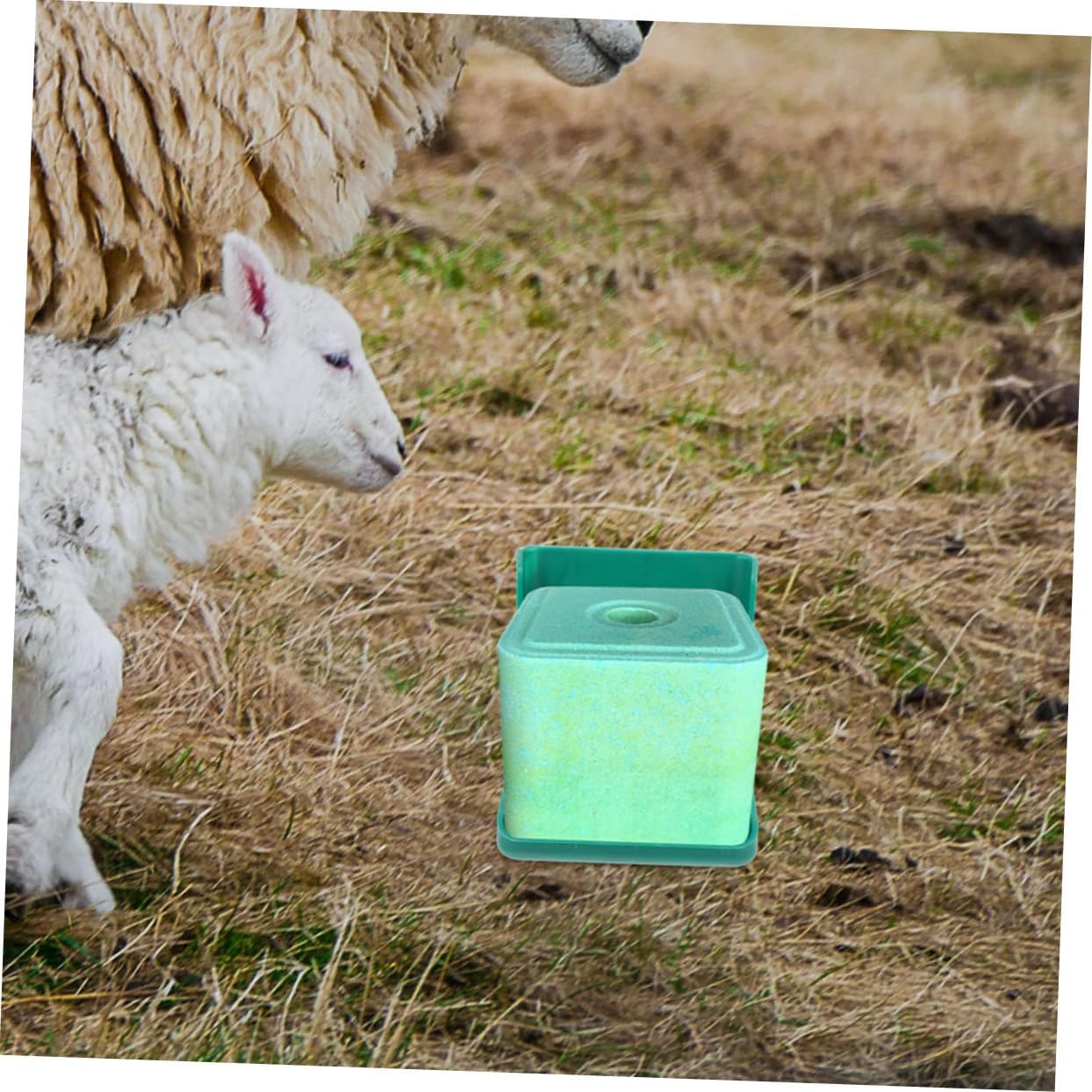 Toyvian 2pcs Livestock Salt Feeding Box Durable Cattle Salt Feeder Compact Sheep Fodder Box for Cattle Sheep Horses Made of for