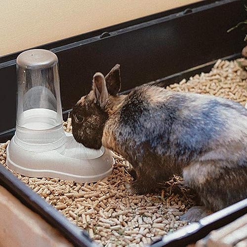 Miniatura 5 de Ferplast AZIMUT 600 Dispensador de alimentos o agua para perros y gatos Dispensador de alimentos secos Alimentador de agua 0,6 litros, fondo