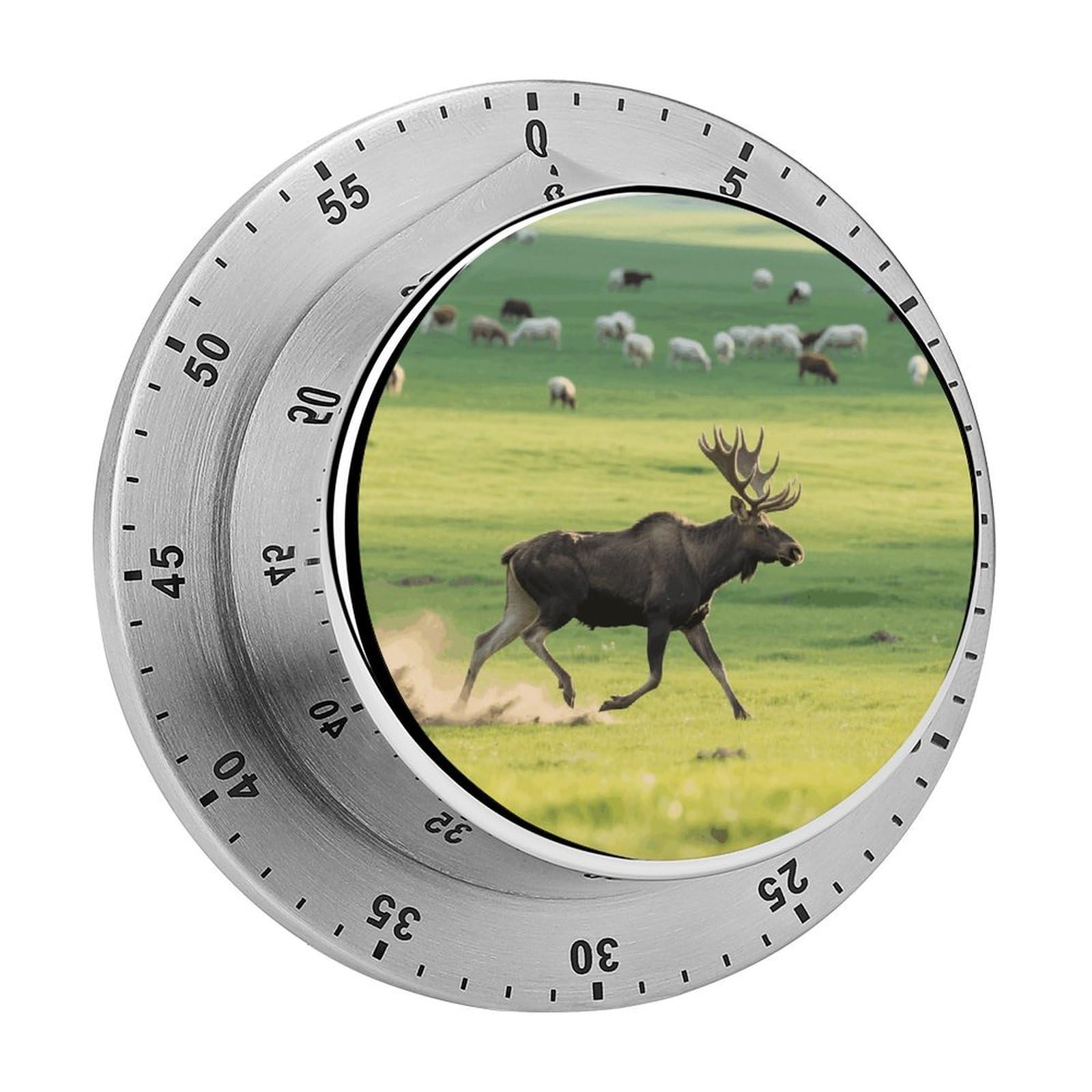 Moose Timer Digital Stainless Steel Kitchen Timers with Loud Alarm Visual Timers Magnetic Countdown Countup Timer for Homework Chores Office Time Management