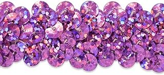 Expo International 20-Yard of 2-Row Starlight Hologram Stretch Sequin Trim, 7/8-Inch, Fuchsia