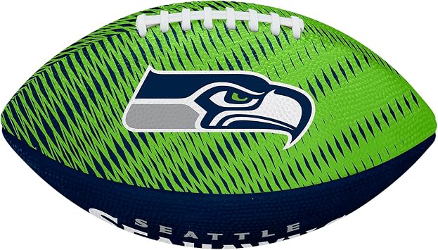 WILSON Unisex NFL Team Tailgate Footballs