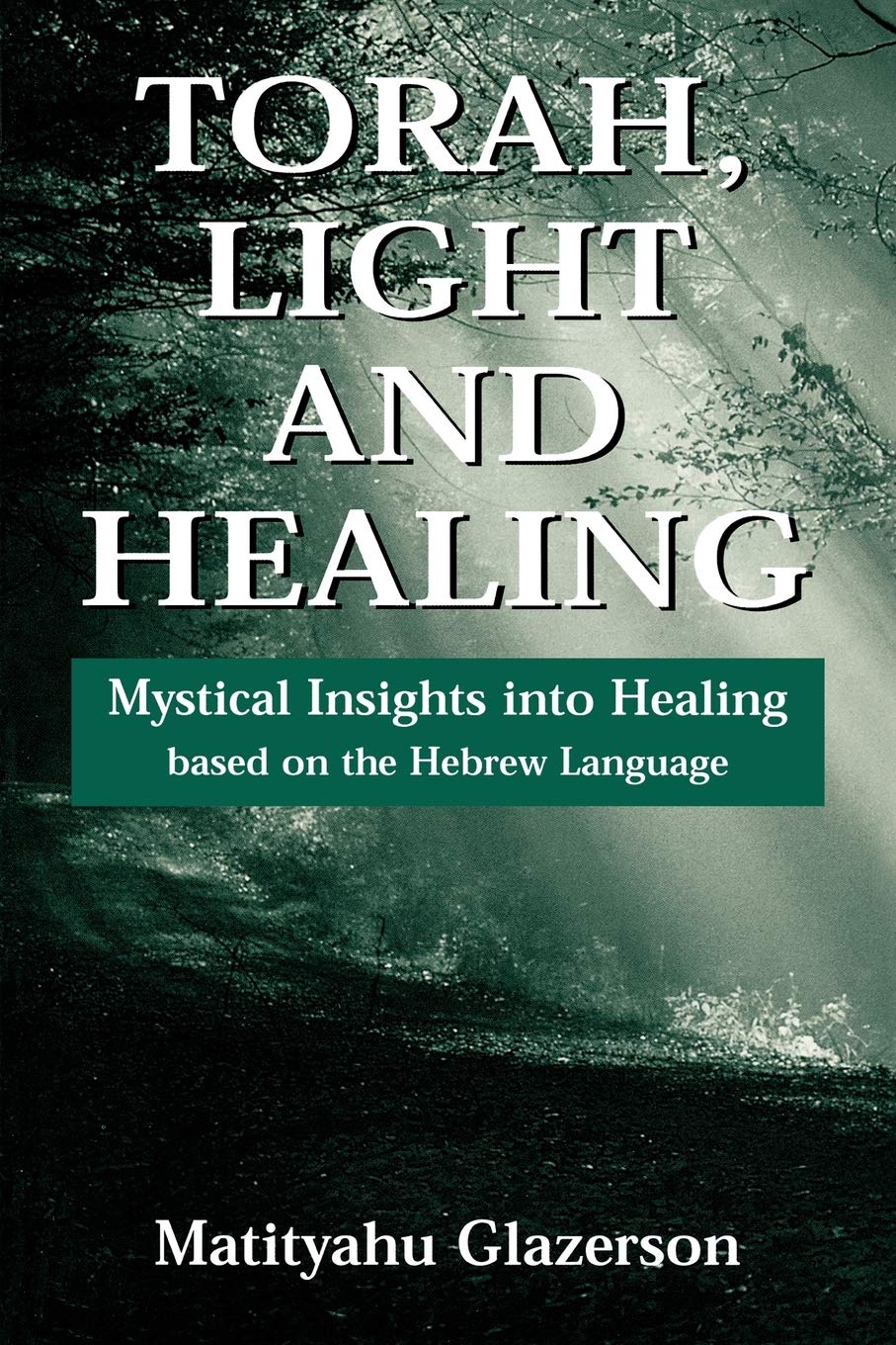 Torah, Light and Healing: Mystical Insights into Healing Based on the Hebrew Language      Paperback – April 1, 1996