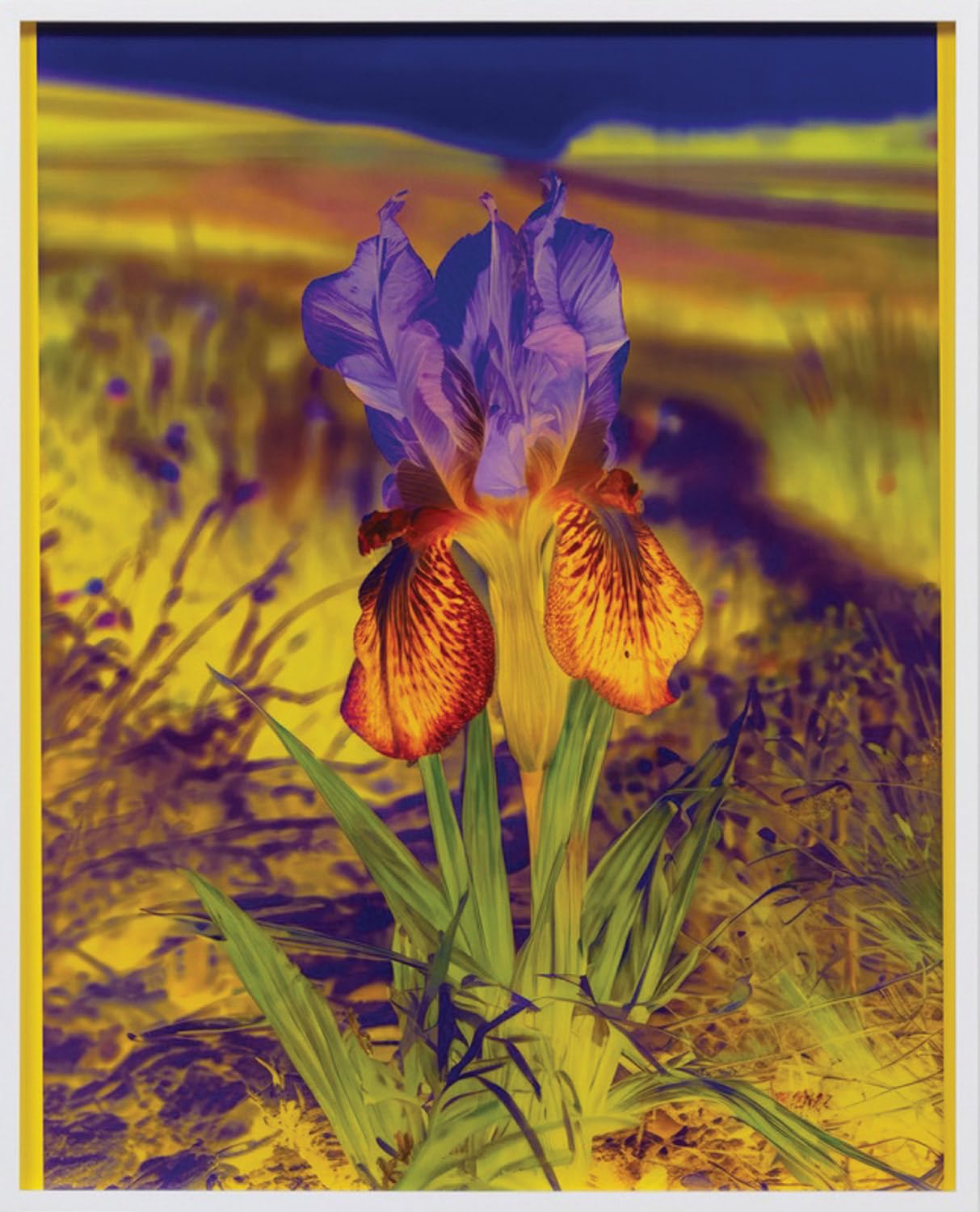 Lisa Oppenheim The Eternal Substitute comprendre art conceptuel
