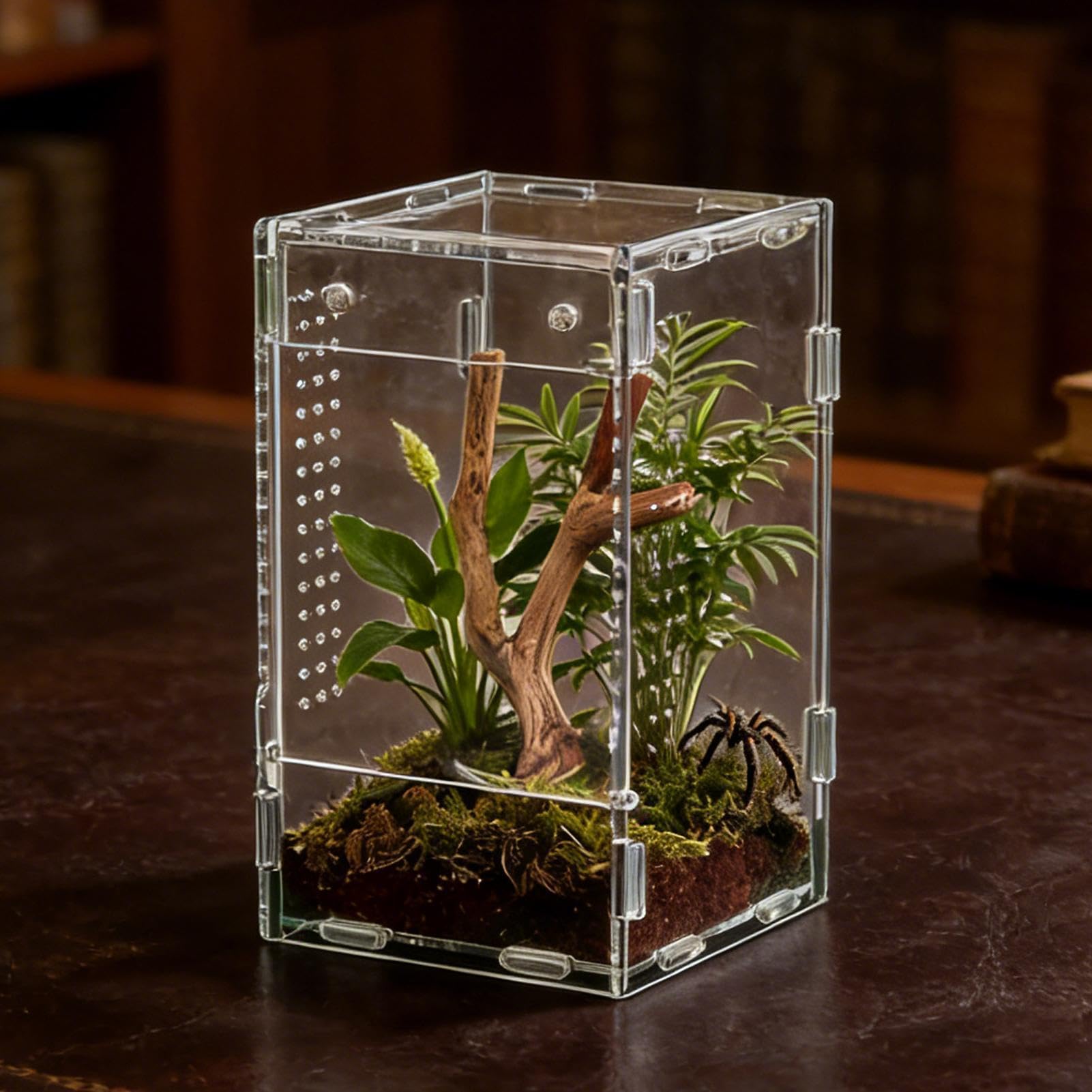 Przenośne terrarium dla gadów, otwarte, odporne na ucieczkę, 30 x 20 x 20 cm, akrylowe z otworami wentylacyjnymi, przezroczysta konstrukcja z bezpiecznym zamkiem, zbiornik na pająk do domu