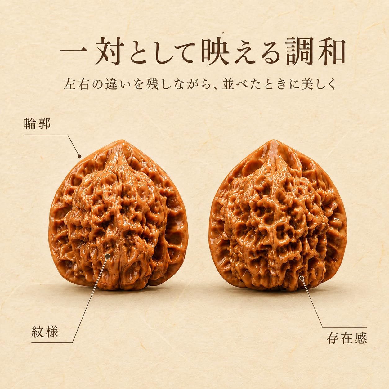 Amazon | 文玩核桃 2個セット ペア仕様 深い立体紋様 手揉み手回し鑑賞