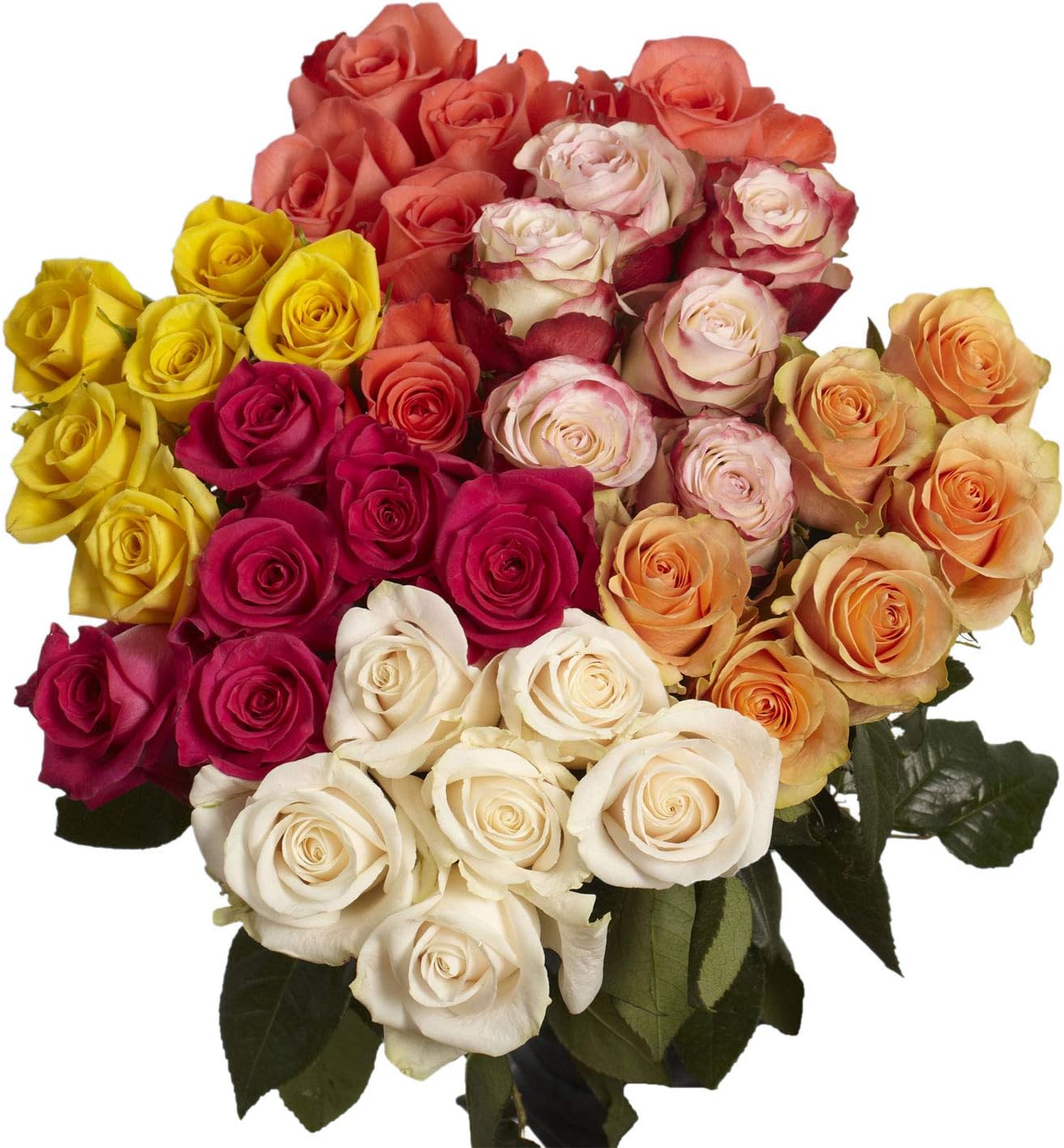 GlobalRose 250 Assorted Color Roses - Fresh Flowers