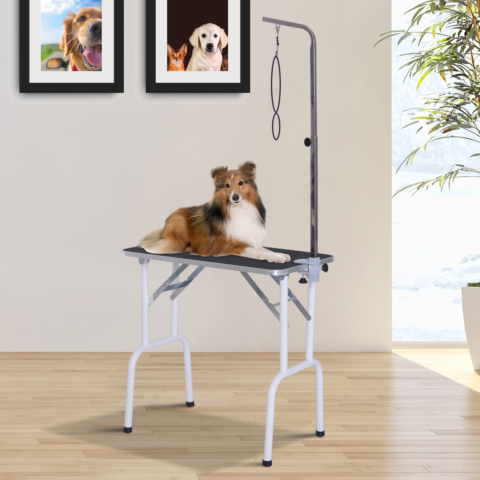 Pawhut Tavolo da Toelettatura e Tosatura per Cani e Gatti Animali Domestici, Piano di Lavoro, Carico 30kg, 81x48.5x80cm