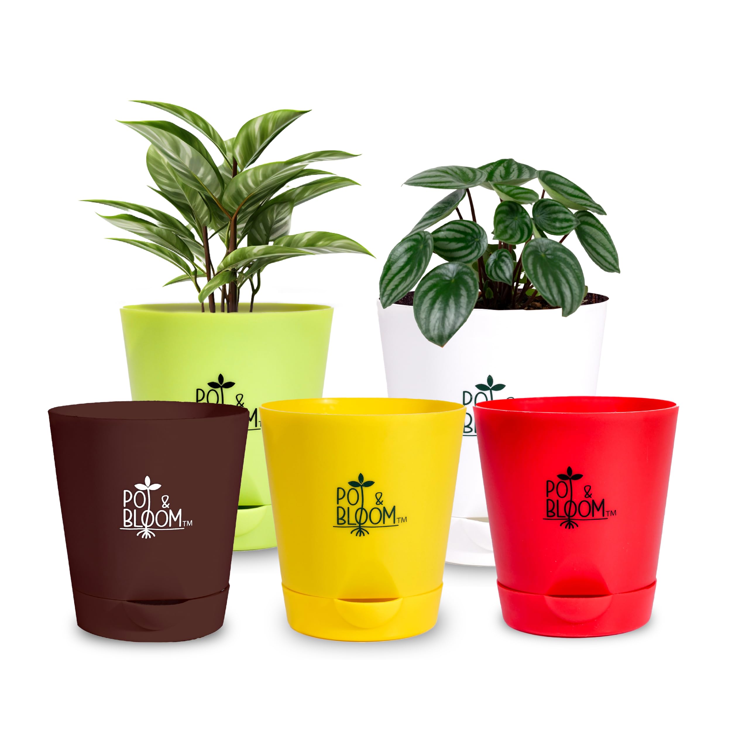 See full amazon price history chart for Pot and Bloom 4-Inch Self-Watering Pots, Set of 5, White, Red, Green, Yellow, Brown Pot and Bloom 4-Inch Self-Watering Pots, Set of 5, White, Red, Green, Yellow, Brown (B0D9B916YY) Amazon Price History, Amazon Price Tracker