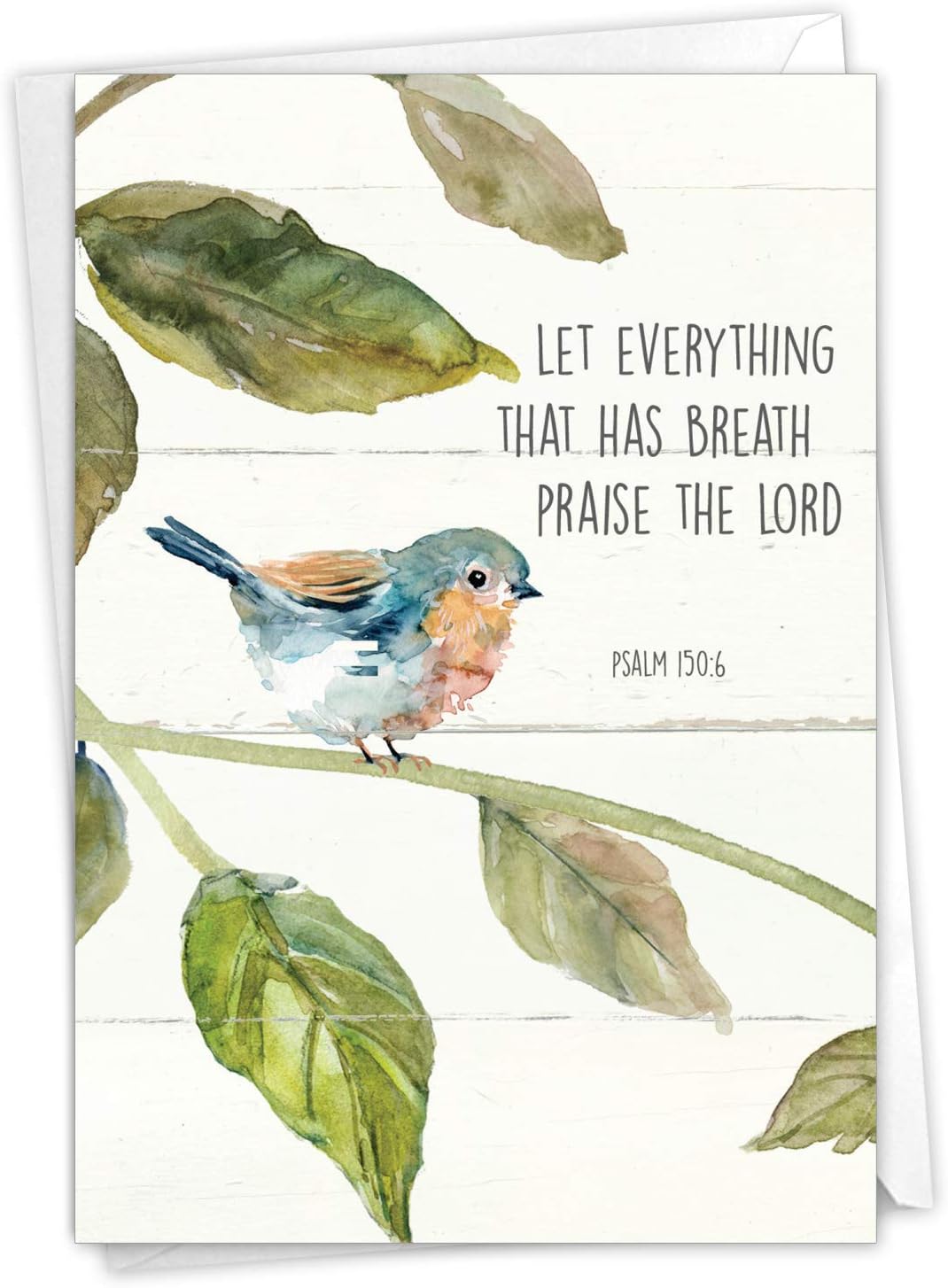 Amazon.com : DaySpring - Paths Graduation - King James Version - 12 ...