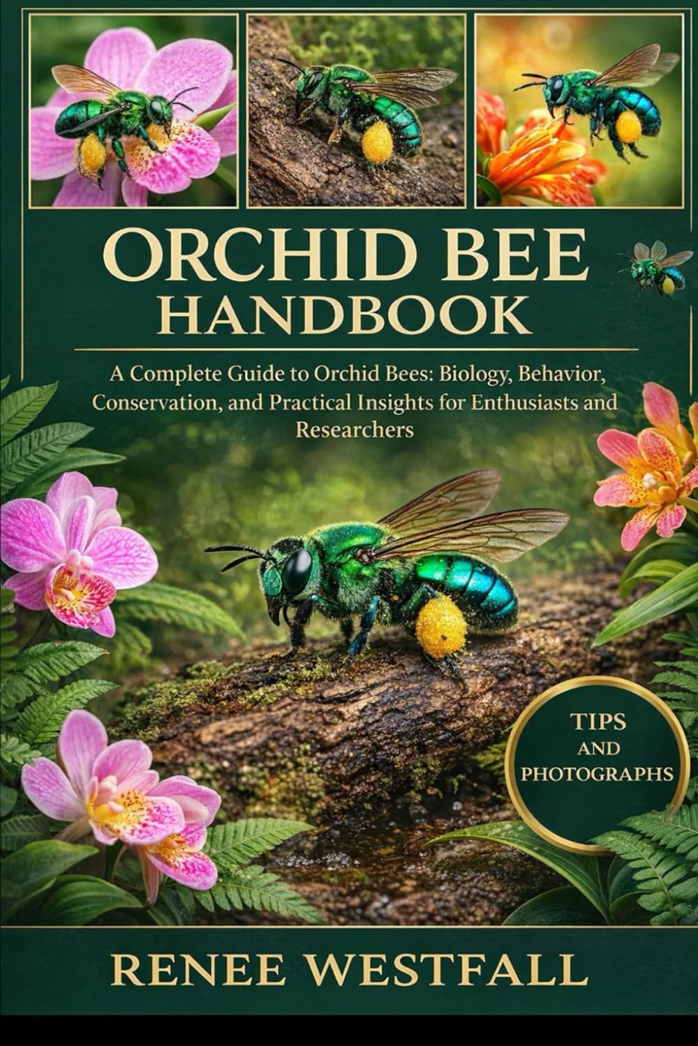 ORCHID BEE HANDBOOK: A Complete Guide to Orchid Bees: Biology, Behavior, Conservation, and Practical Insights for Enthusiasts and Researchers.