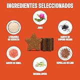 Ver la foto 2
