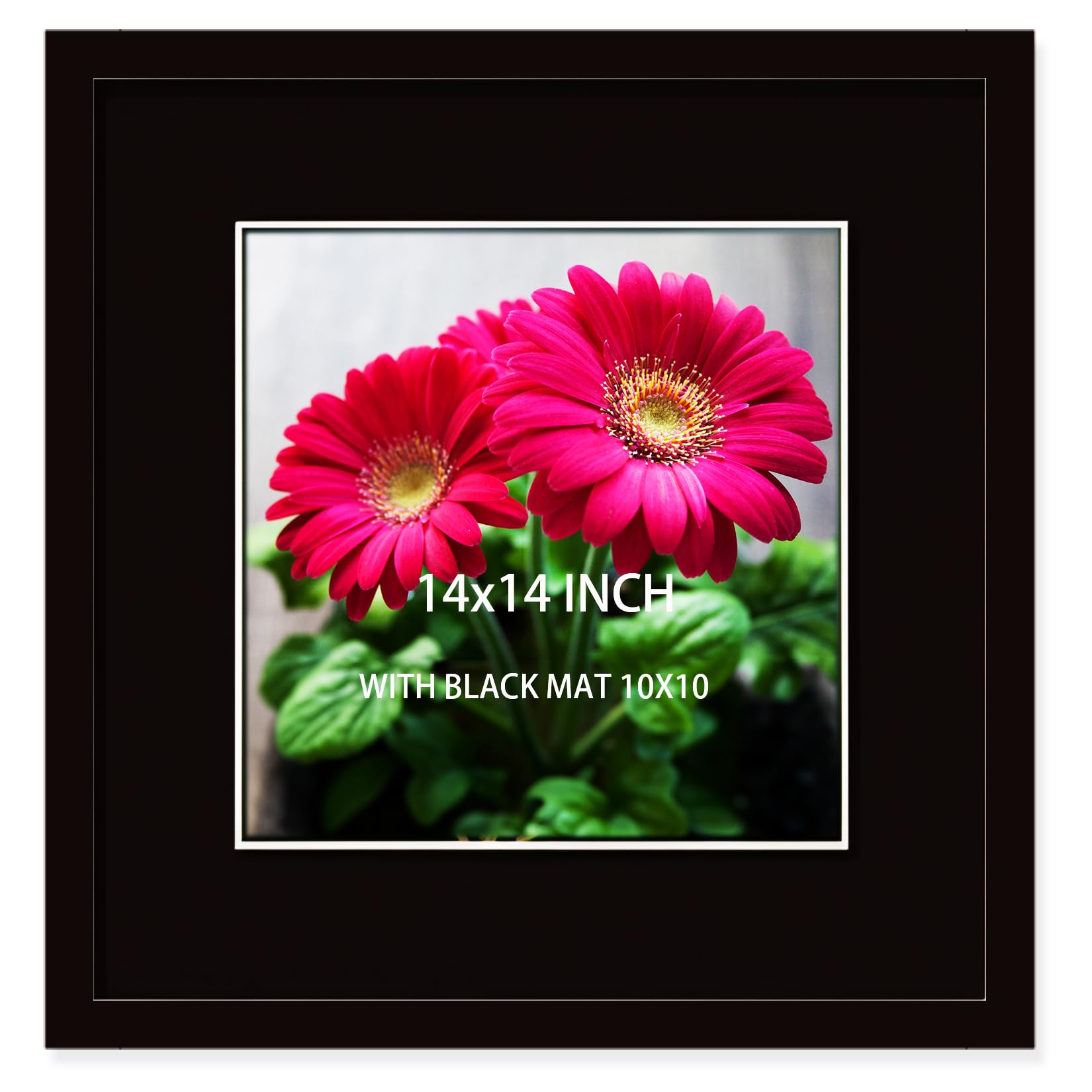 14x14 Picture Frame Black Solid Wood for Black Mat 10x10 Wall Mounting Square Poster Frames