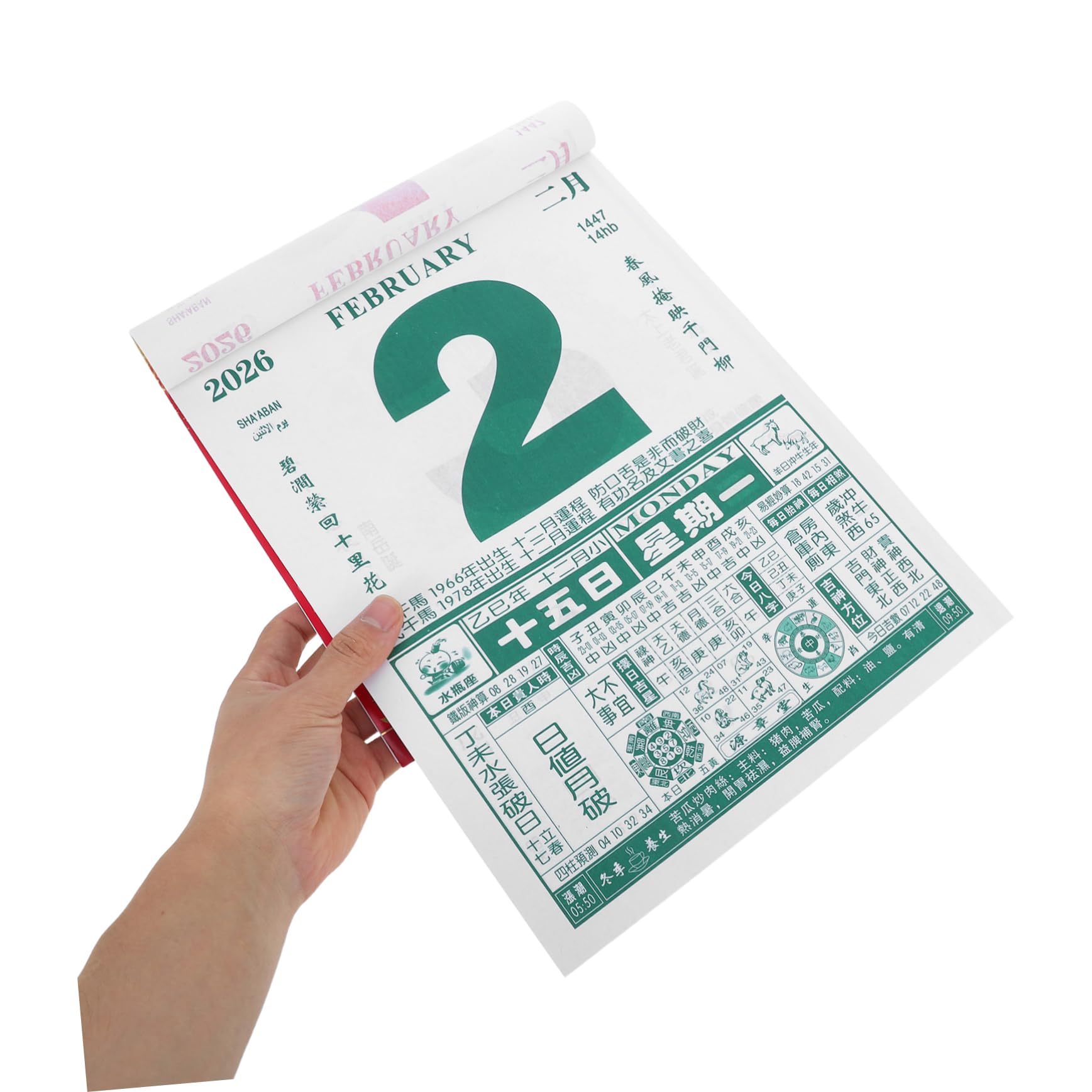 Pferdekalender Wandkalender Jahreskalender mit Tierkreiszeichen Feiertage und Festen für Heimdekoration Büro Schule