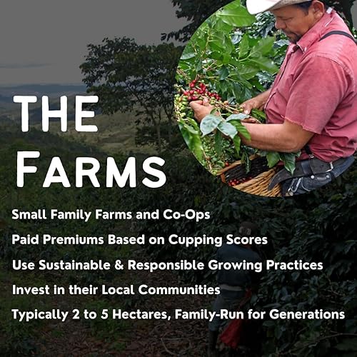 Miniatura 4 de Canopy Point Coffee - Guatemala tostado medio - Recién molido, origen único, café tostado al aire especial en lotes pequeños, tostado medio gourmet,