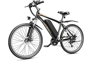 eletric bike for adult heybike