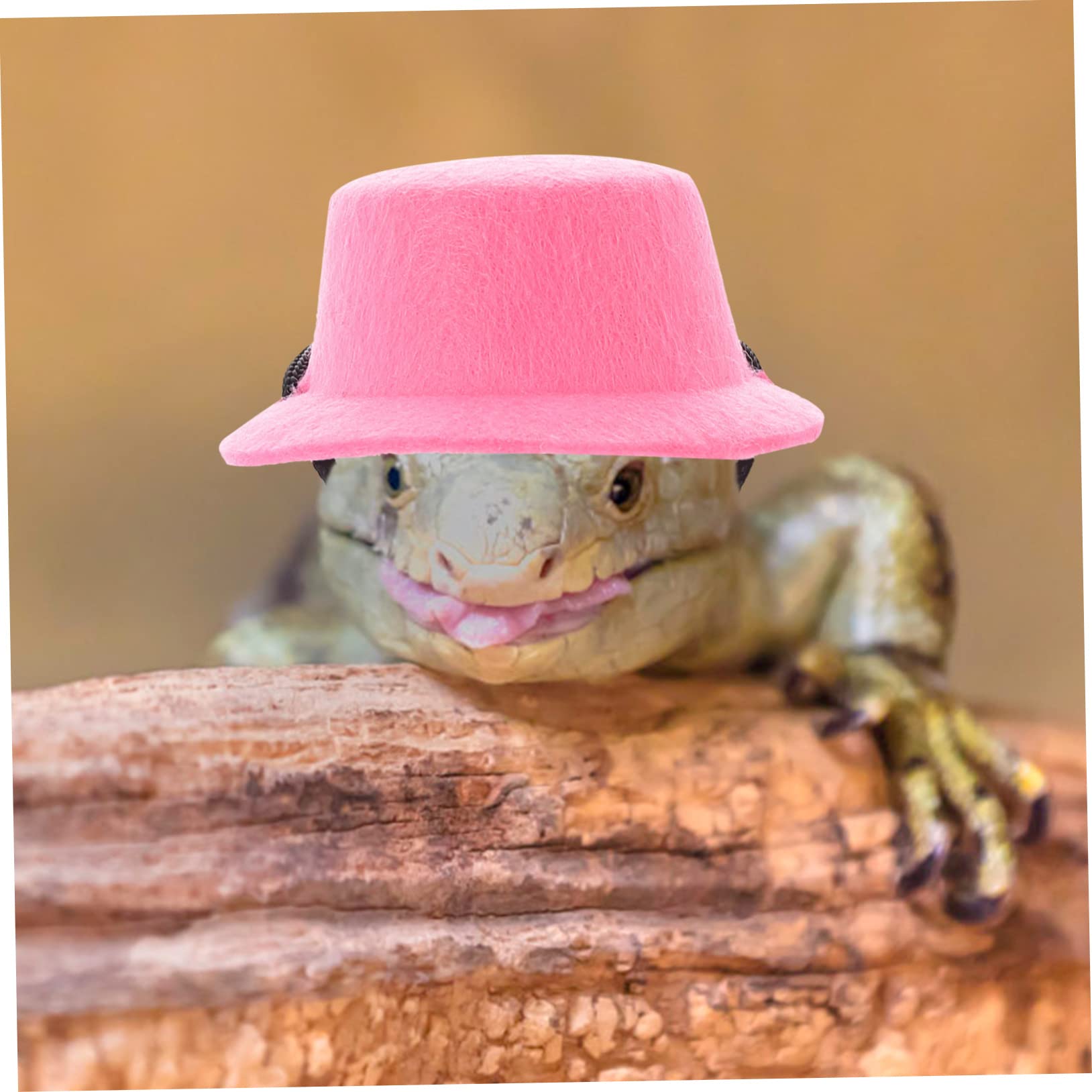 DOITOOL 4 Juegos De Correas para Lagartos Reptiles Pajarita Sombrero Correa para Exteriores Ajuste Cómodo Diseño Resistente.