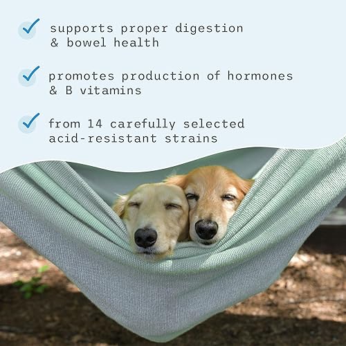 Vista 5 de Suplemento dietario completo con probióticos del Dr. Mercola para mascotas, 3 oz