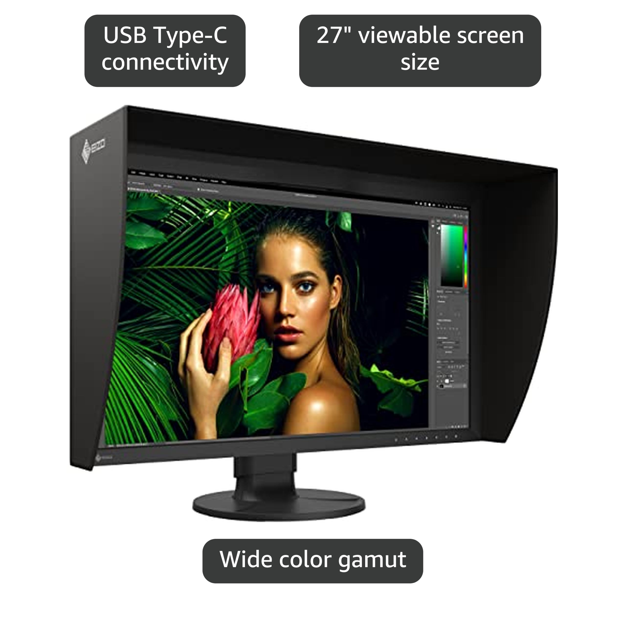 Amazon.com: EIZO ColorEdge CG2700S-BK 27