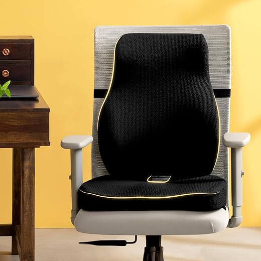 PosturePro Seat Cushion + Back Support