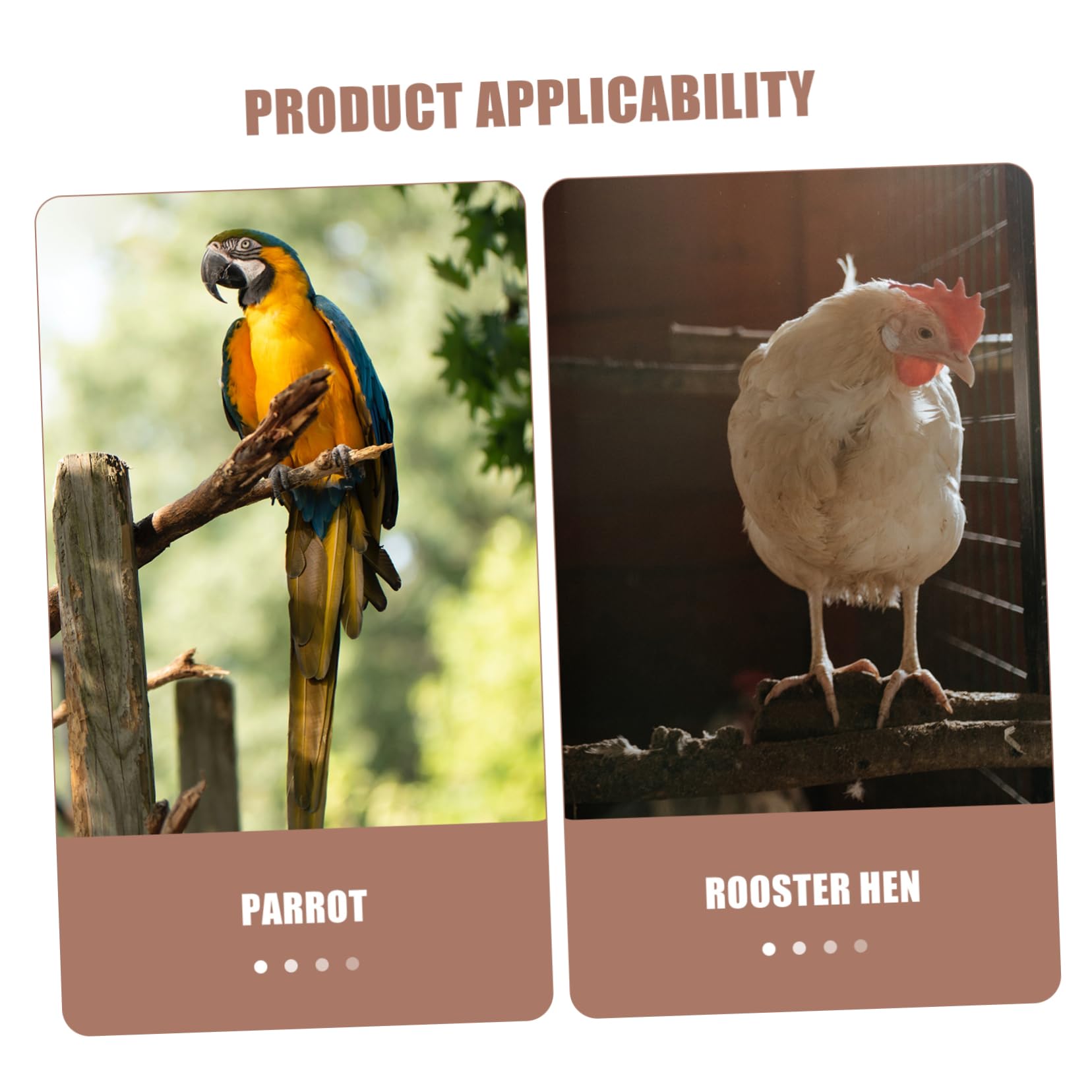 DOITOOL Xilófono, Soporte de Madera Sintética Juego de Percha para Pollos Que Permite Relajarse y Jugar Gallinas, Accesorio para Aves de Corral