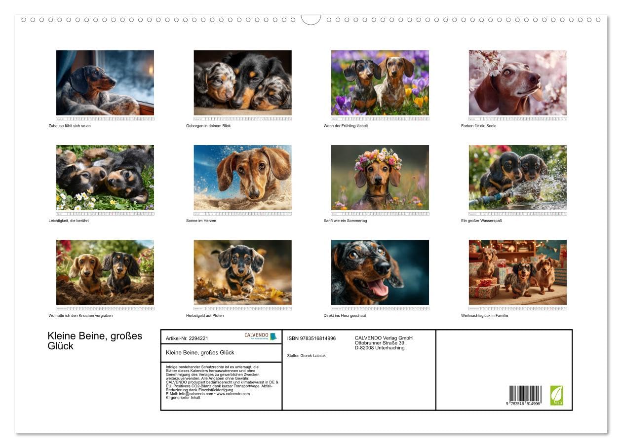 Kleine Beine, großes Glück (Wandkalender 2027 DIN A2 quer), CALVENDO Monatskalender: Dieser Dackelkalender begleitet dich mit 12 Monaten voller ... und herzerwärmender Momente. (CALVENDO Tiere)
