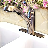 Vista 4 de Danco 10409 - Cabezal de espray extraíble para cocina, níquel cepillado