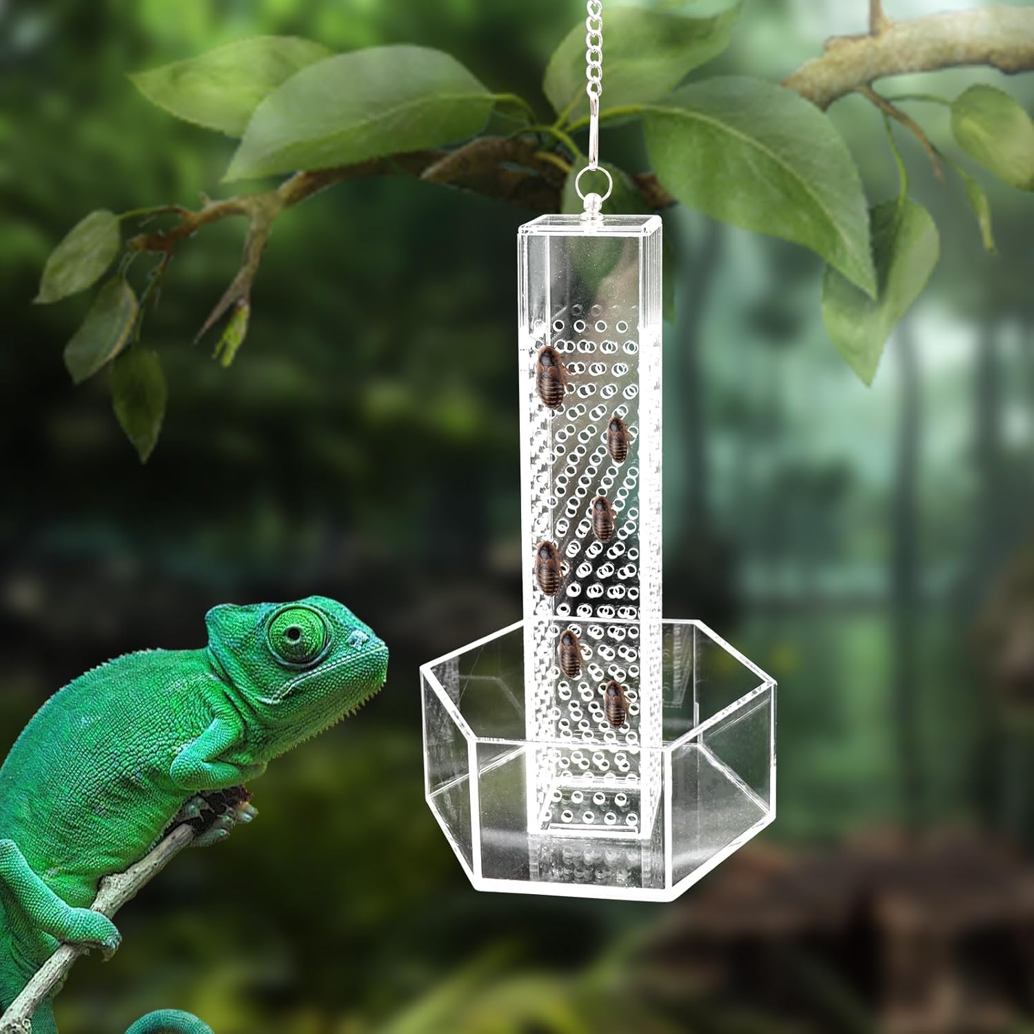 Hookable Bearded Dragon Feeder, Chameleon Feeding Bowl, Hanging Transparent Acrylic Reptile Feeder with Column for Insects to Climb, Tank Aquarium Accessories for Lizard Lguana Gecko Toad Frog