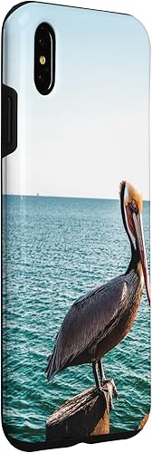 Vista 24 de iPhone 11 Pelican Case