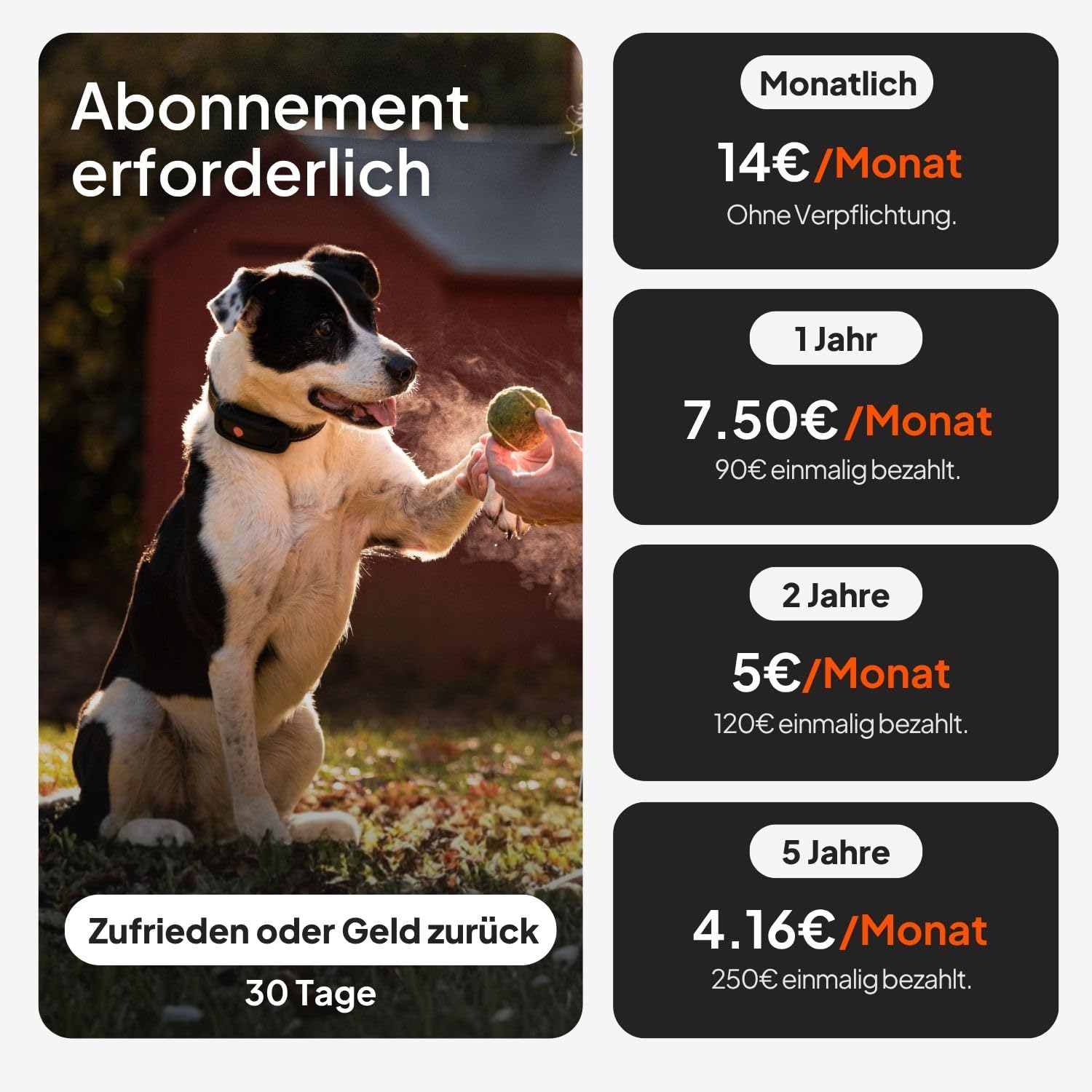 Weenect Hund XT - GPS-Tracker für Hunde Ohne Halsband | Wasserdicht | XL-Antenne | Unbegrenzte Reichweite Abonnement Erforderlich