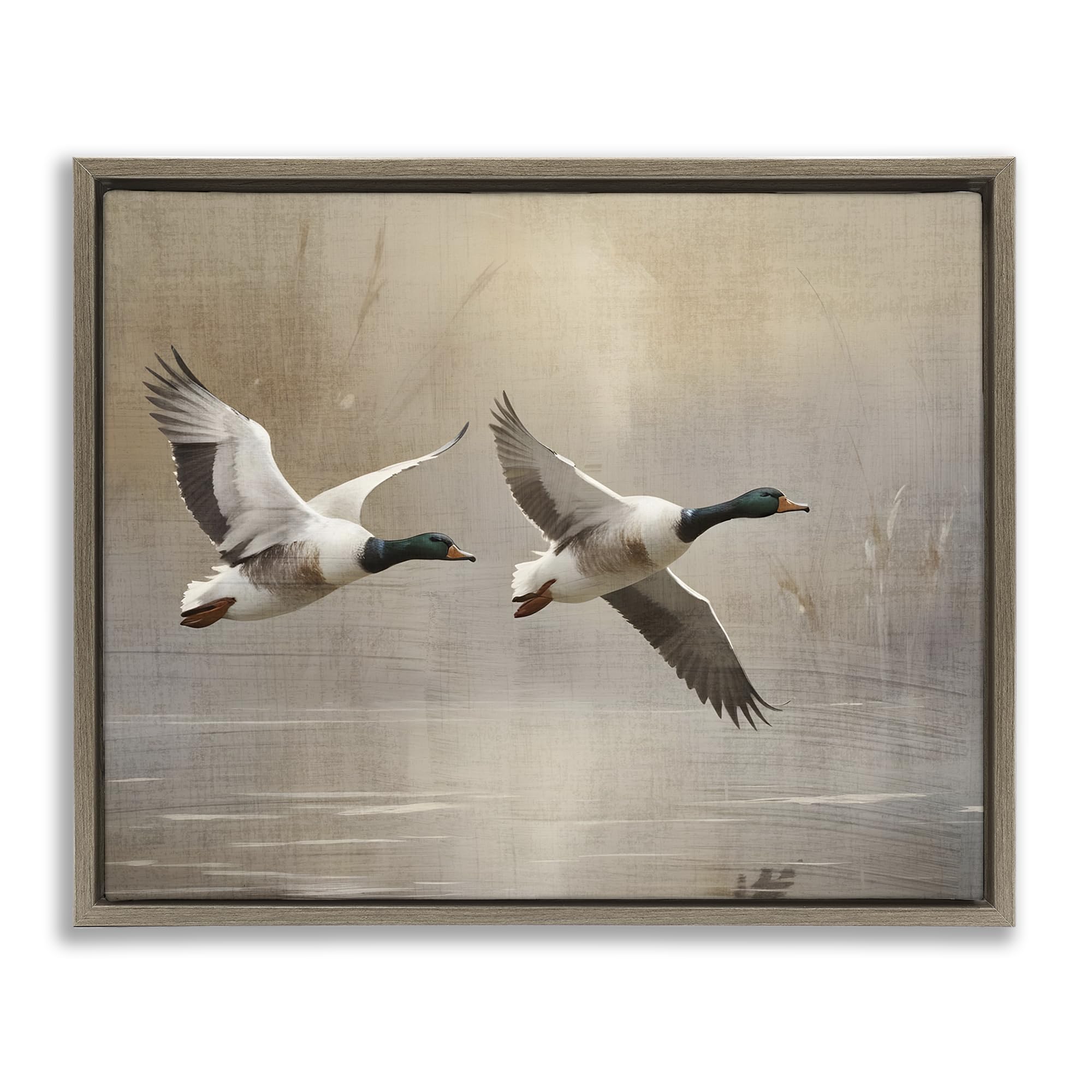 Stupell Industries Serene Mallard Flight Reflection 'Mallard Ducks Over Pond', Floating Frame Canvas Art, Brown, 31 X 25 Inches, Easy To Hang And Sturdy, Made In Usa, By Susan Arnot