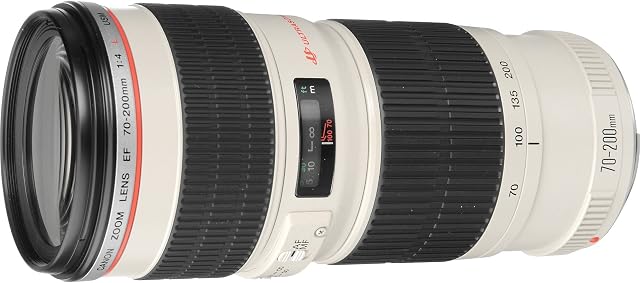 Canon EF 70-200 mm f/4.0 L USM Lens (Non Image Stabilised) - White (Renewed)