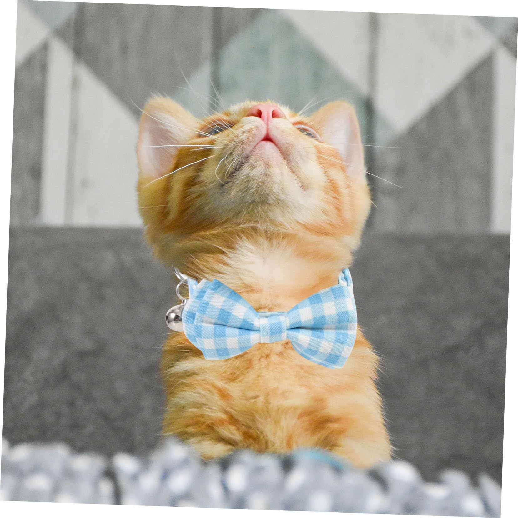 minkissy 10pièces Collier pour Chat avec Cloche Ensemble De Colliers Réglables pour Chiots Et Motif Carreaux Accessoire pour Animaux De Compagnie