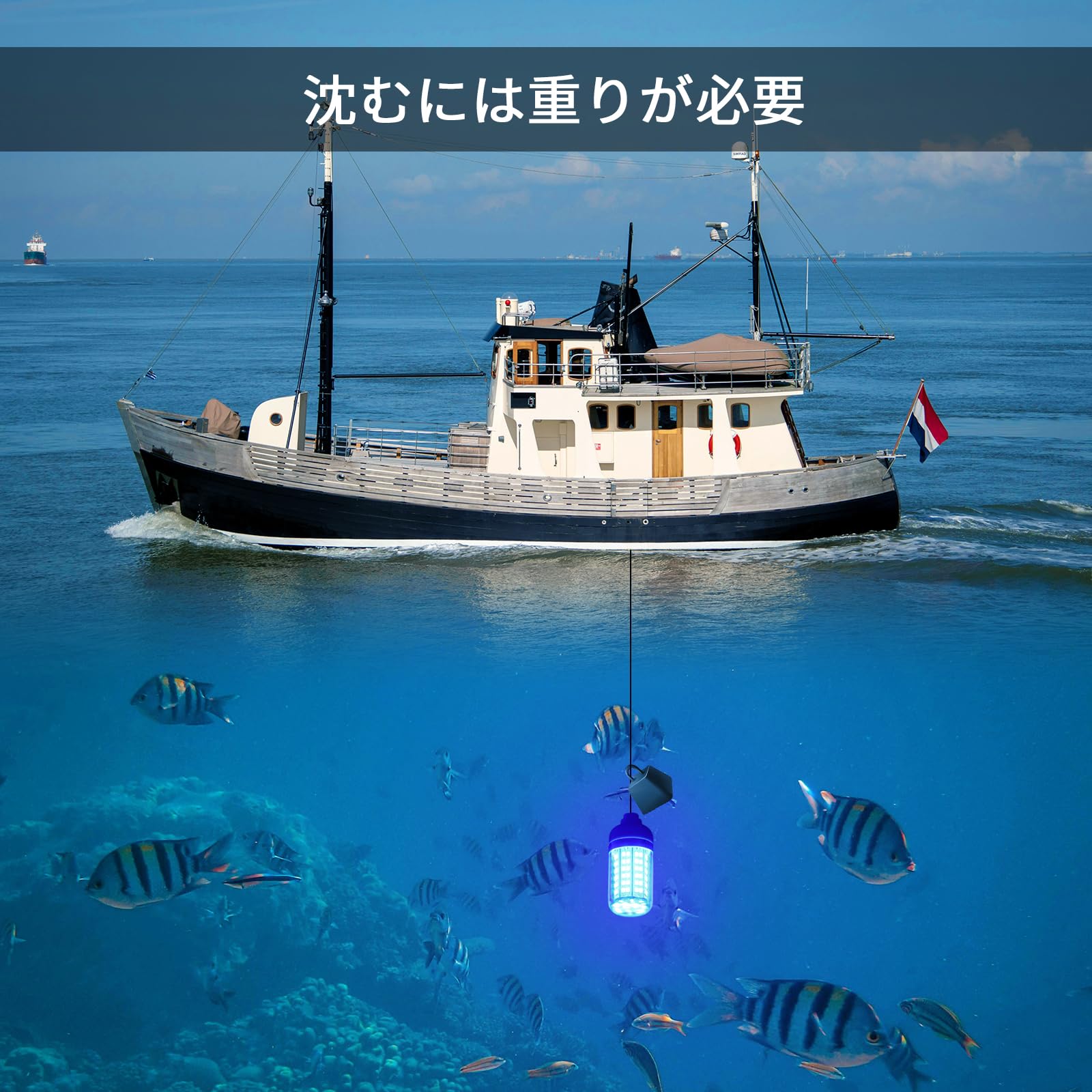 Amazon.co.jp: SecurityIng 集魚灯 高輝度108LED AC/DC 12V 水中集魚灯