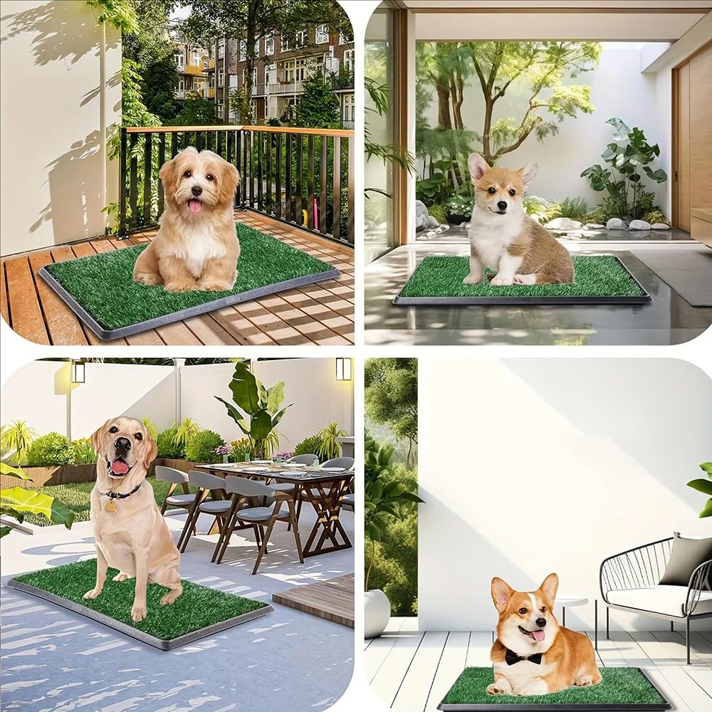 Tapis d'apprentissage pour Chien avec Séparateur d'Urine, Grand Plateau 64 x 51 cm, Plateau Extractible