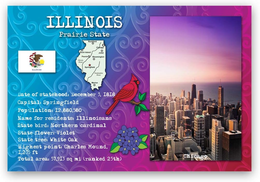 STATE FACTS postcard set of 50 postcards. All 50 US states symbols and info post card pack. Made in USA.